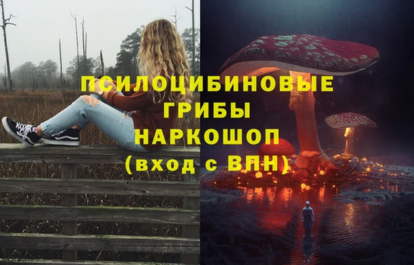 первитин Елабуга